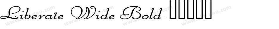 Liberate Wide Bold字体转换